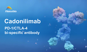 Cadonilimab (PD-1/CTLA-4) Receives FDA Clearance for Global Phase III First-Line Gastric Cancer Trial Versus Nivolumab