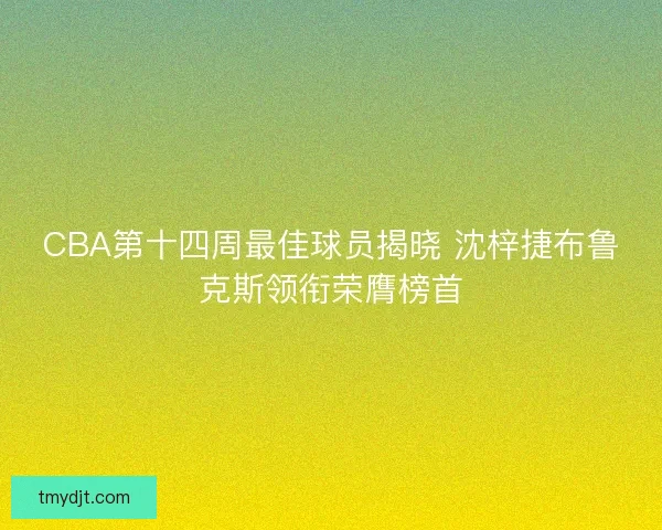 CBA第十四周最佳球员揭晓 沈梓捷布鲁克斯领衔荣膺榜首