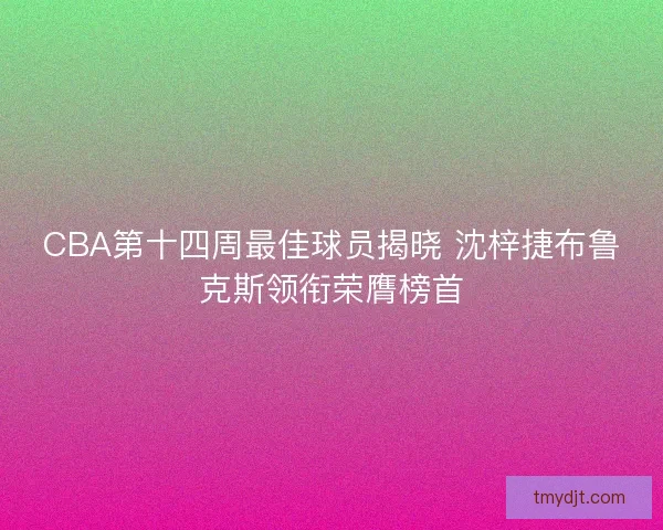 CBA第十四周最佳球员揭晓 沈梓捷布鲁克斯领衔荣膺榜首