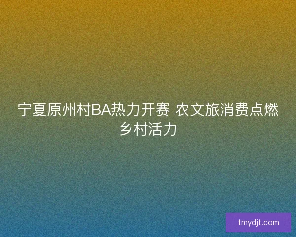 宁夏原州村BA热力开赛 农文旅消费点燃乡村活力