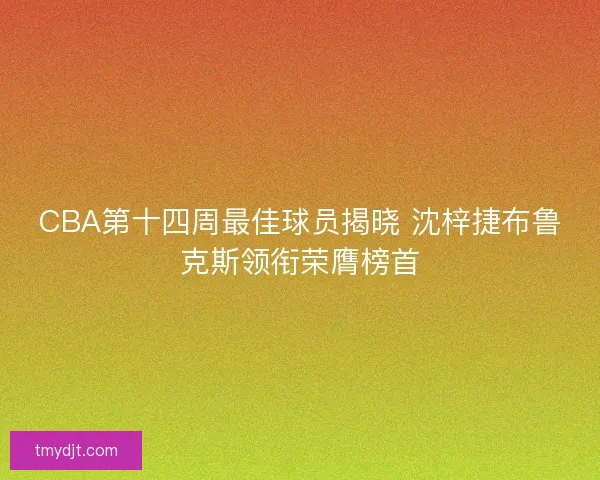 CBA第十四周最佳球员揭晓 沈梓捷布鲁克斯领衔荣膺榜首
